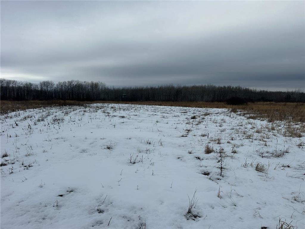 tbd 350th ave sw Cannon Twp MN 56735 7093443 image29