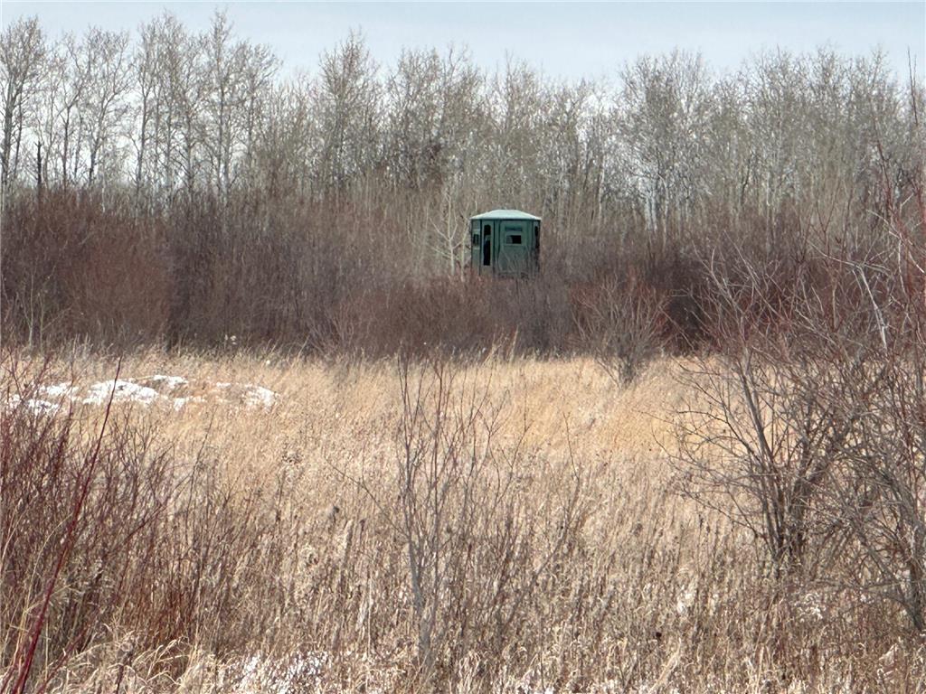 tbd 350th ave sw Cannon Twp MN 56735 7093443 image30