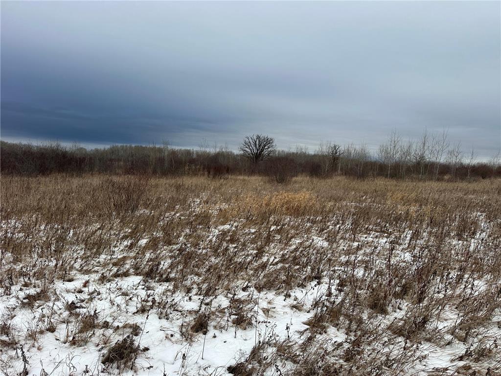 tbd 350th ave sw Cannon Twp MN 56735 7093443 image31