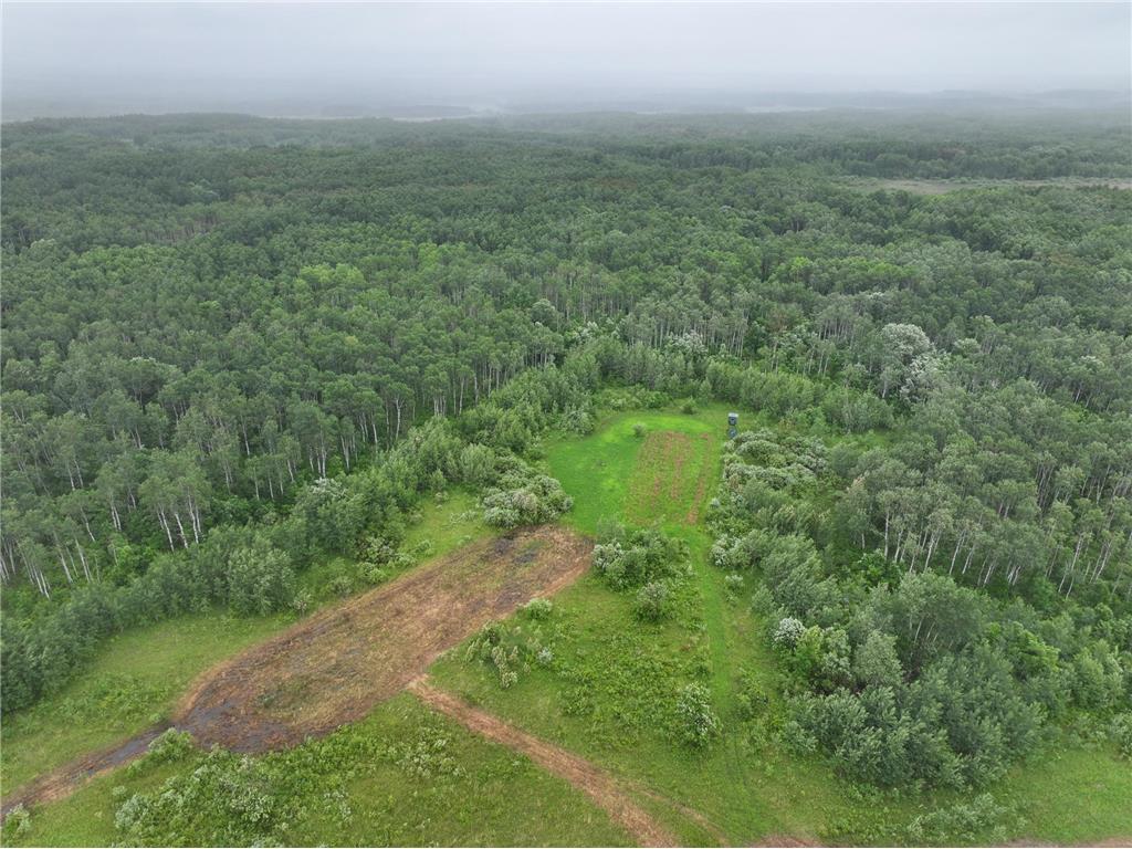 tbd 350th ave sw Cannon Twp MN 56735 7093443 image6