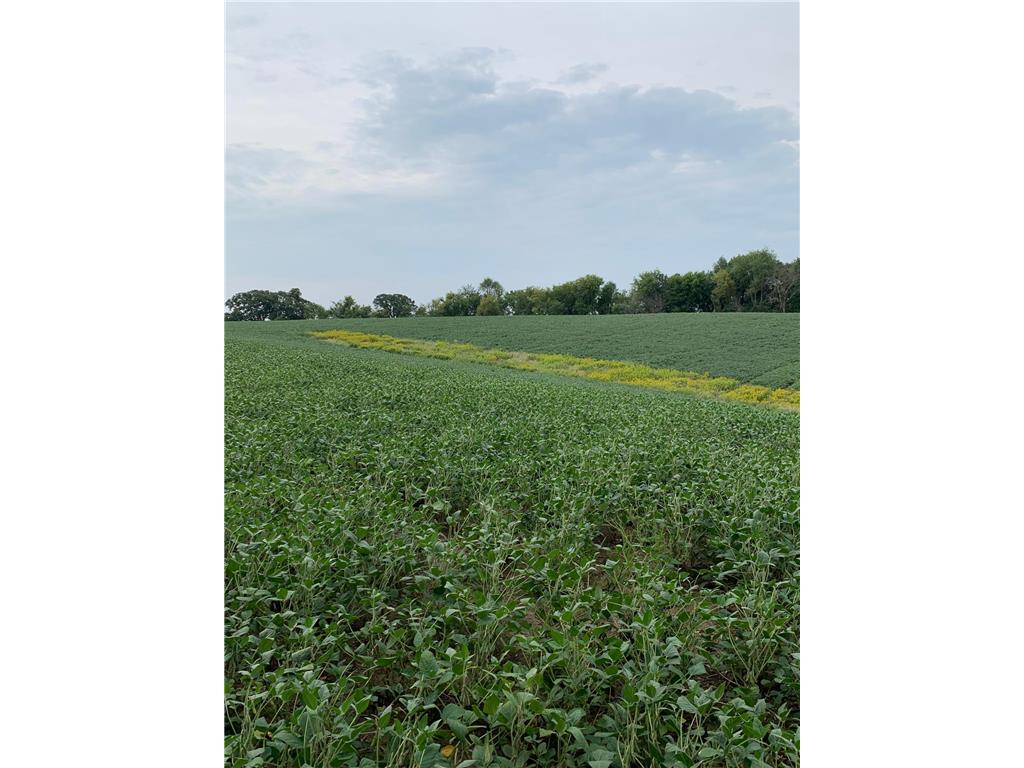 tbd 728th Street Lake City MN 55041 7028697 image5