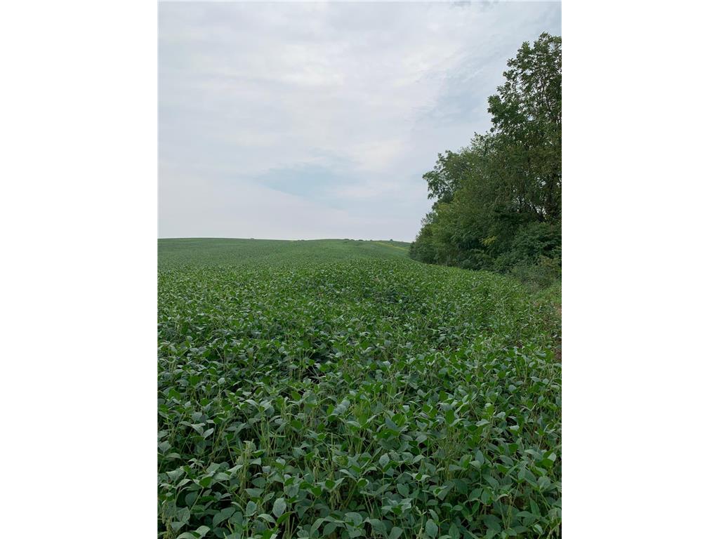 tbd 728th Street Lake City MN 55041 7028697 image7
