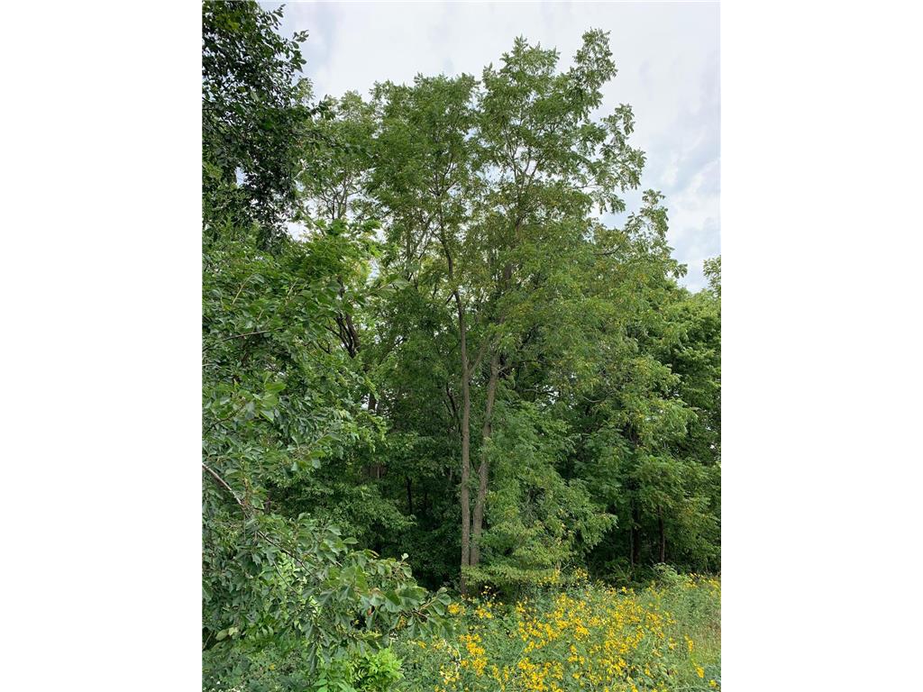 tbd 728th Street Lake City MN 55041 7028697 image8
