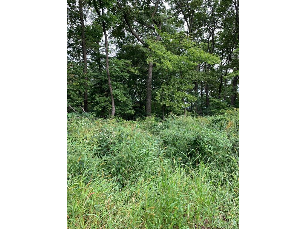 tbd 728th Street Lake City MN 55041 7028697 image9