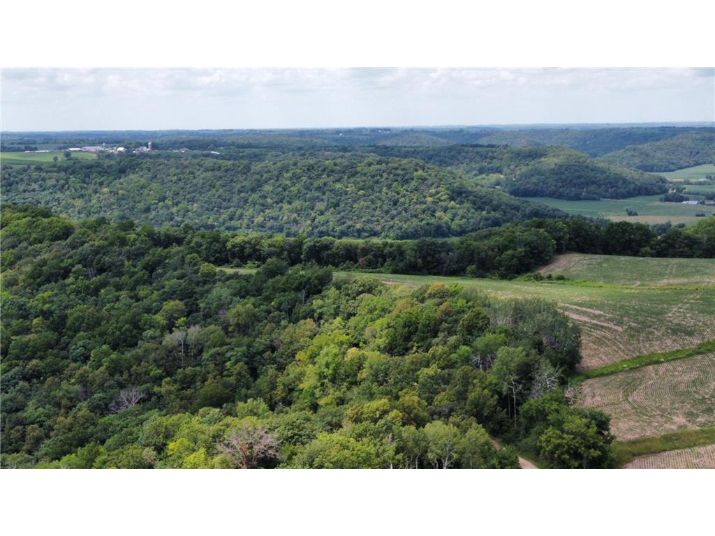 tbd 728th Street Mount Pleasant Twp MN 55041 7028471 image15