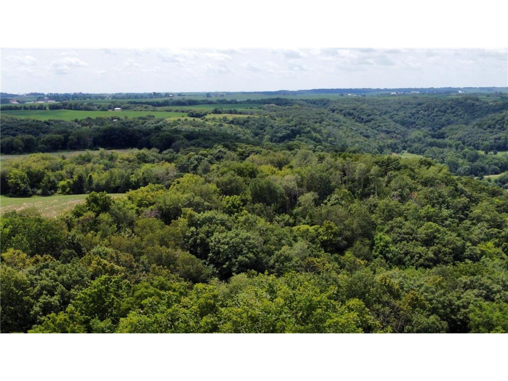 tbd 728th Street Mount Pleasant Twp MN 55041 7028471 image16