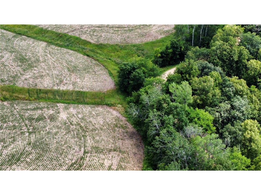 tbd 728th Street Mount Pleasant Twp MN 55041 7028471 image6