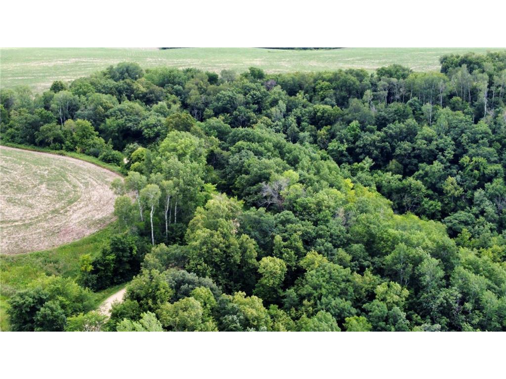 tbd 728th Street Mount Pleasant Twp MN 55041 7028471 image7