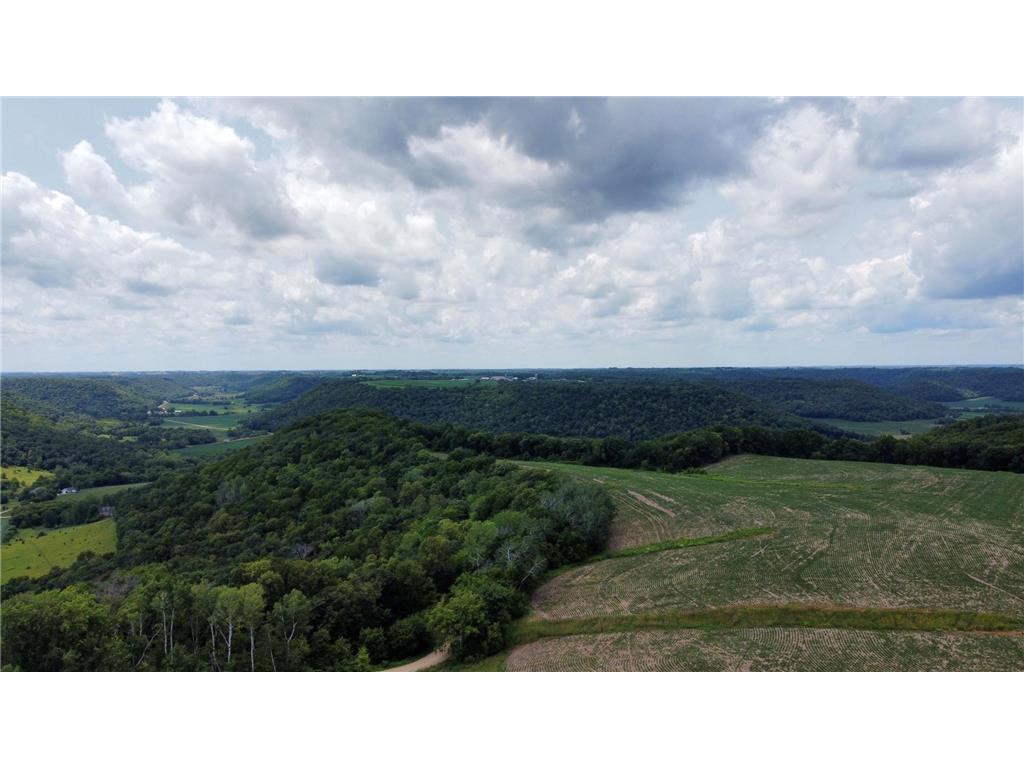 tbd 728th Street Mount Pleasant Twp MN 55041 7028471 image9
