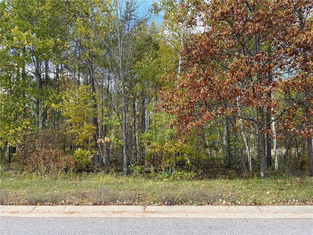 tbd Airport Road Breezy Point MN 56472 6446817 image1