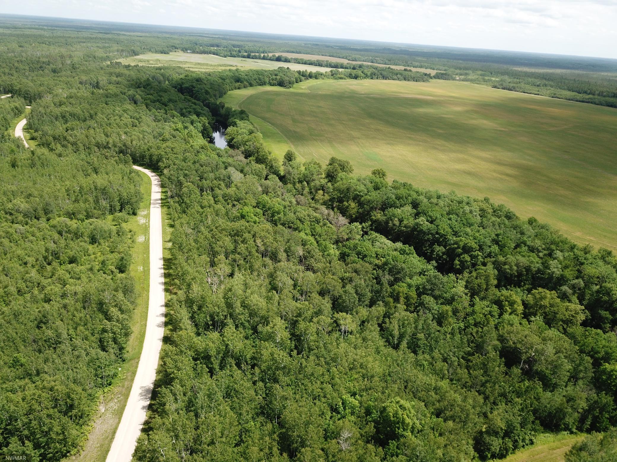 tbd Cedar Drive SE, Baudette, MN 56623 MLS 5618955 Edina Realty