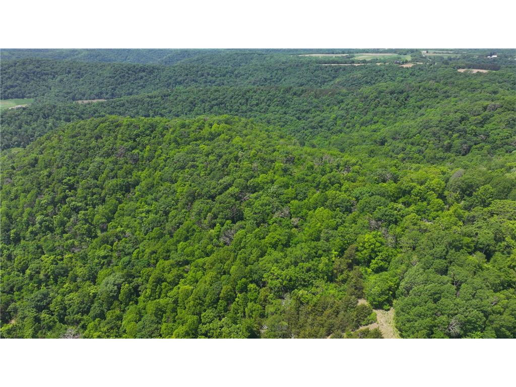 tbd County 13 Road Houston MN 55943 6735676 image10