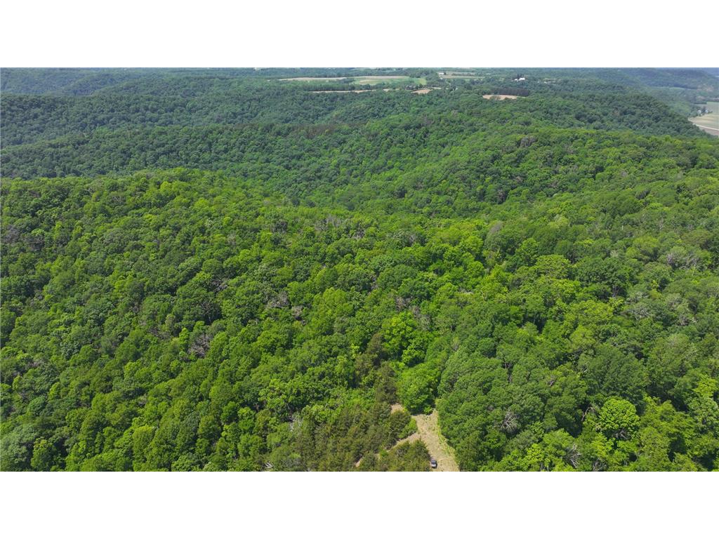 tbd County 13 Road Houston MN 55943 6735676 image11