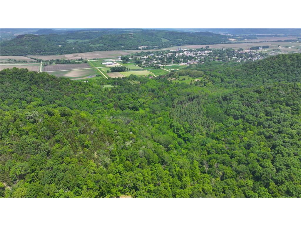 tbd County 13 Road Houston MN 55943 6735676 image12