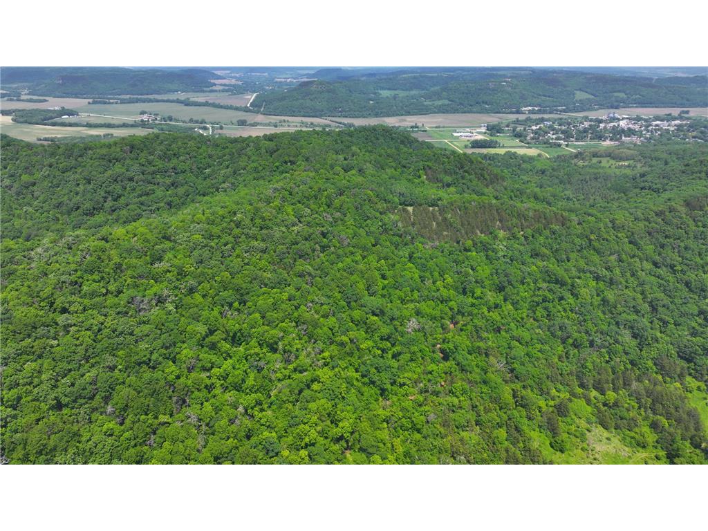 tbd County 13 Road Houston MN 55943 6735676 image13