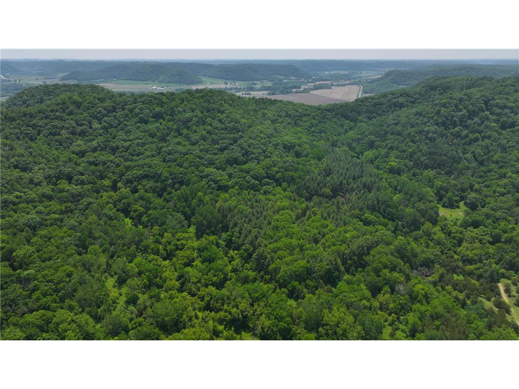 tbd County 13 Road Houston MN 55943 6735676 image20