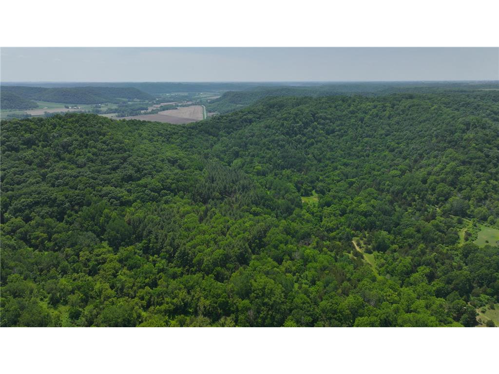 tbd County 13 Road Houston MN 55943 6735676 image24