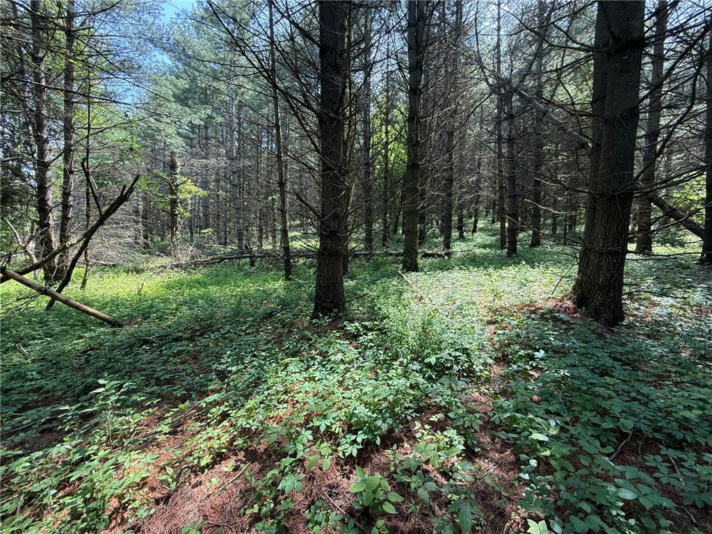 tbd County 13 Road Houston MN 55943 6735676 image29