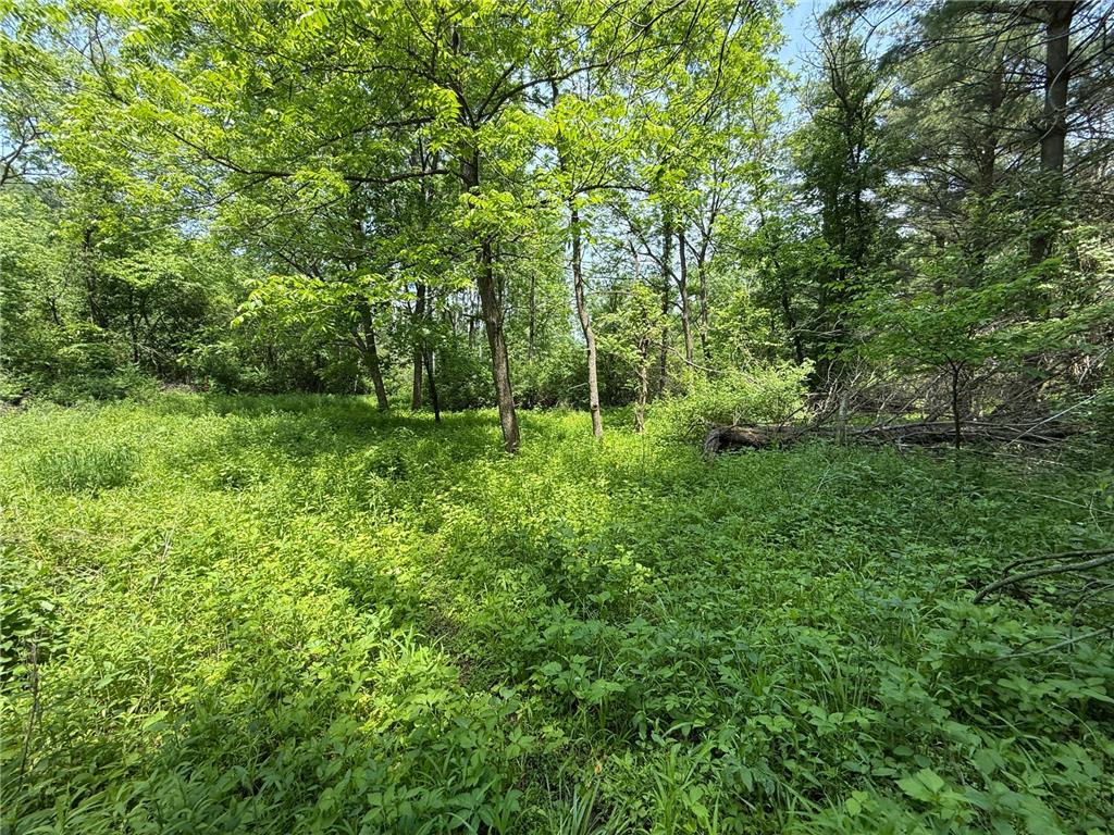 tbd County 13 Road Houston MN 55943 6735676 image30