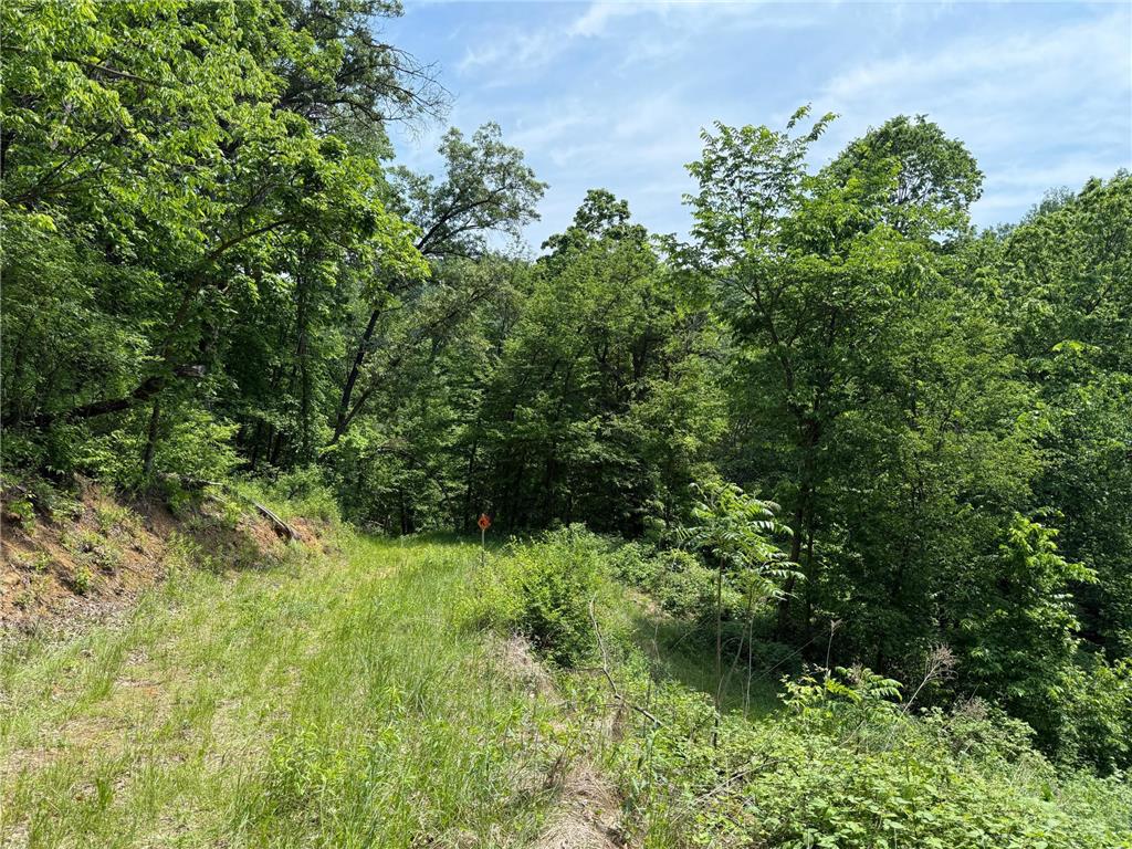 tbd County 13 Road Houston MN 55943 6735676 image31