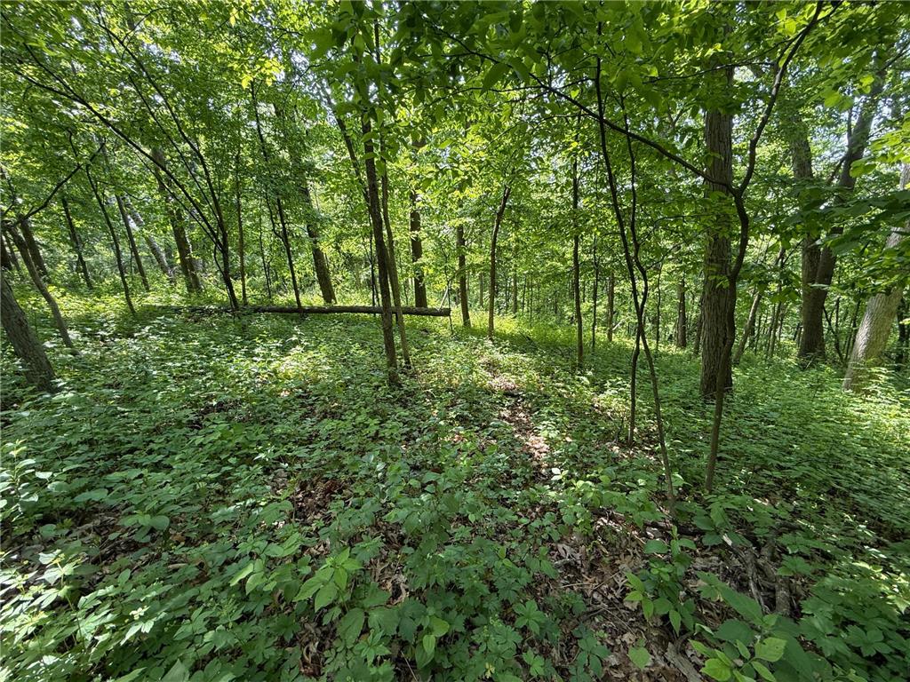 tbd County 13 Road Houston MN 55943 6735676 image32