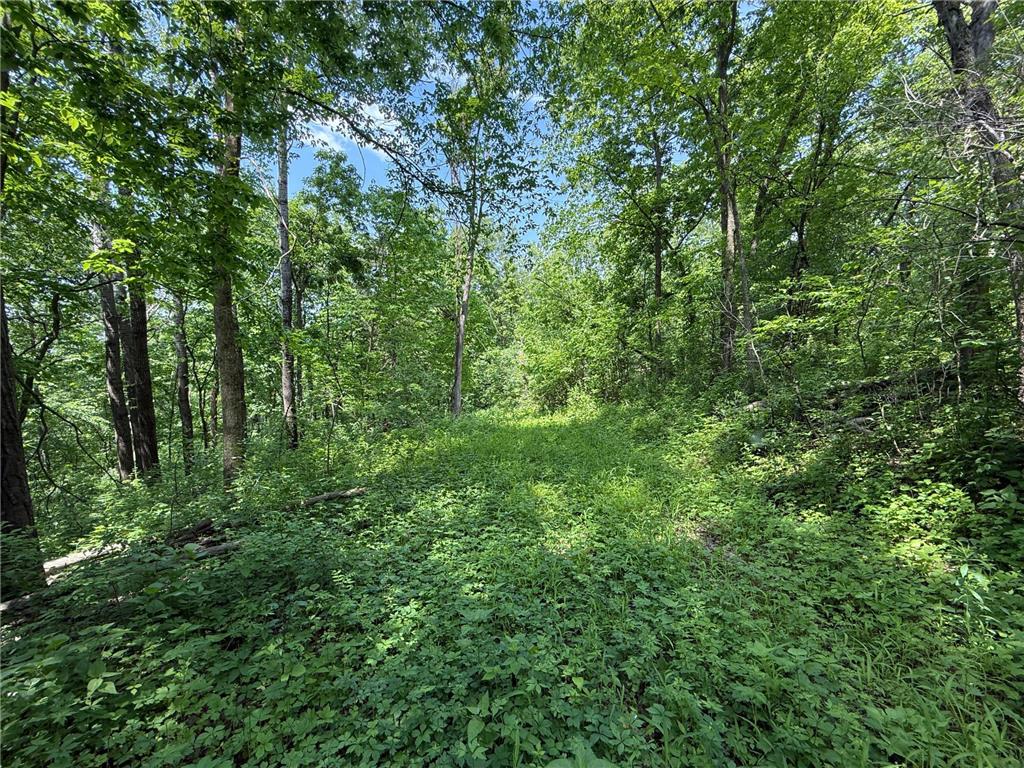 tbd County 13 Road Houston MN 55943 6735676 image33