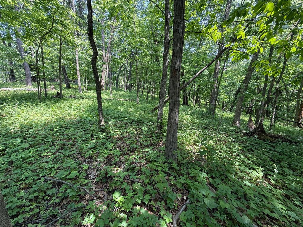 tbd County 13 Road Houston MN 55943 6735676 image34