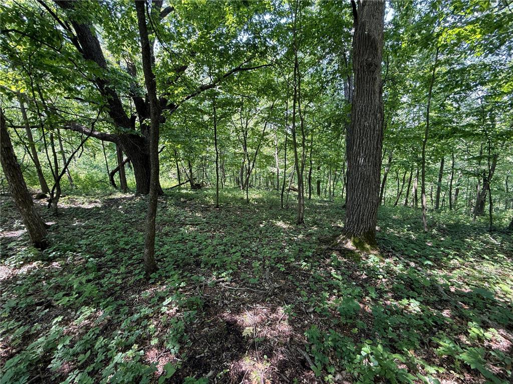 tbd County 13 Road Houston MN 55943 6735676 image35