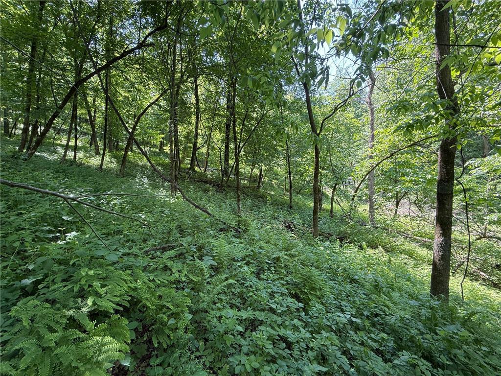 tbd County 13 Road Houston MN 55943 6735676 image36