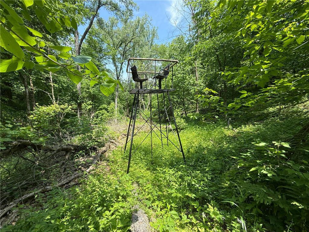 tbd County 13 Road Houston MN 55943 6735676 image37