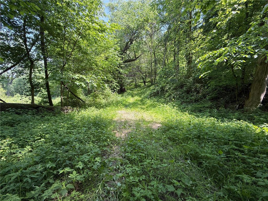 tbd County 13 Road Houston MN 55943 6735676 image38