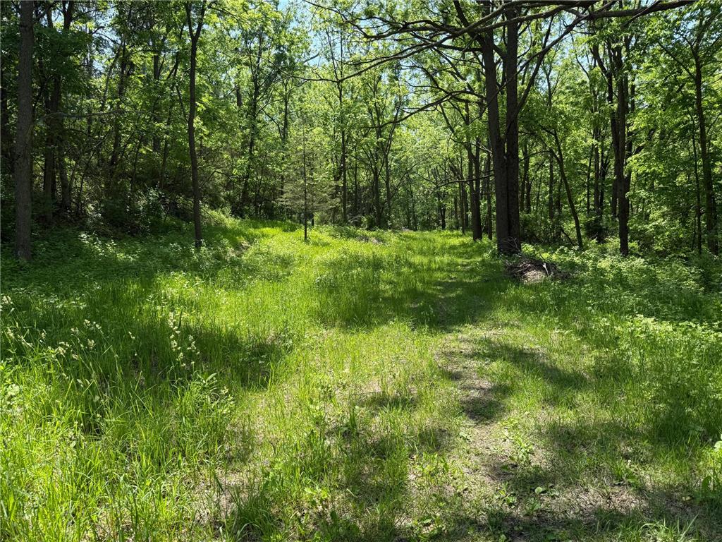 tbd County 13 Road Houston MN 55943 6735676 image39