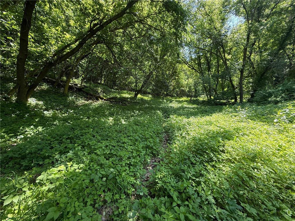 tbd County 13 Road Houston MN 55943 6735676 image40