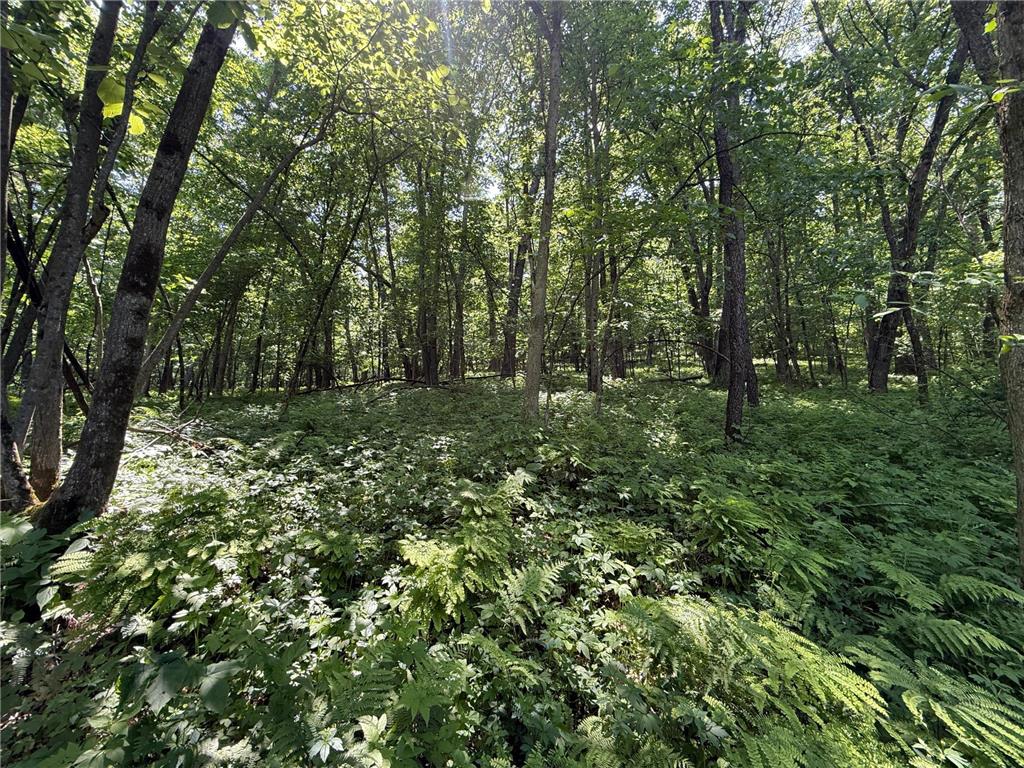 tbd County 13 Road Houston MN 55943 6735676 image41