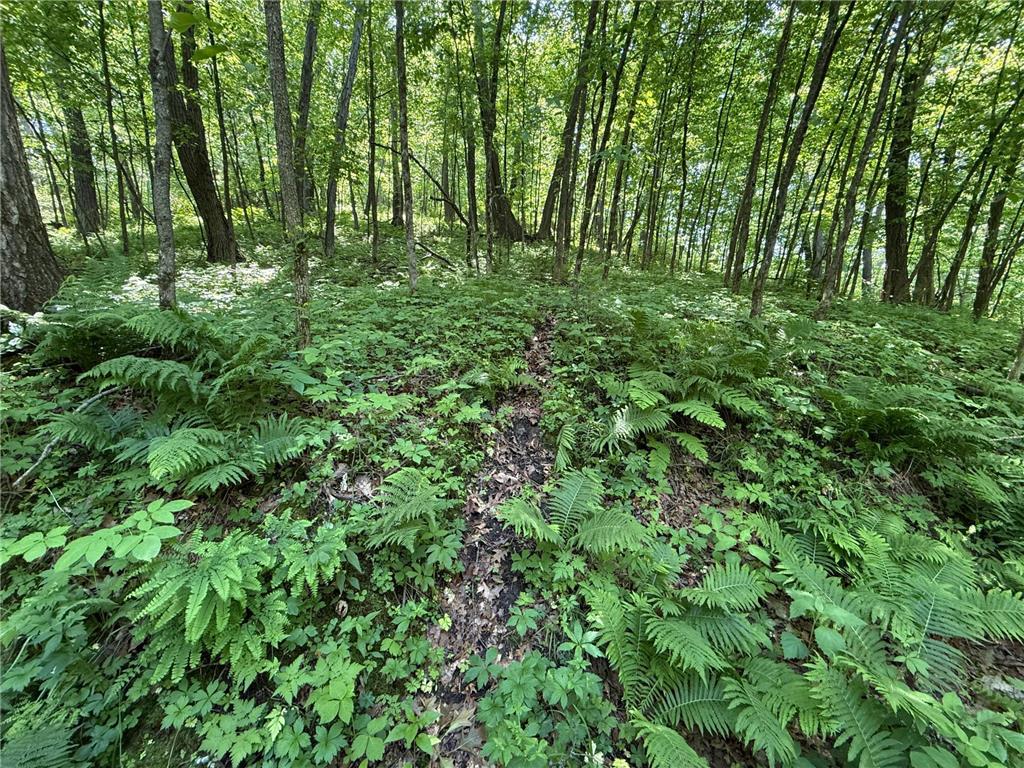 tbd County 13 Road Houston MN 55943 6735676 image43