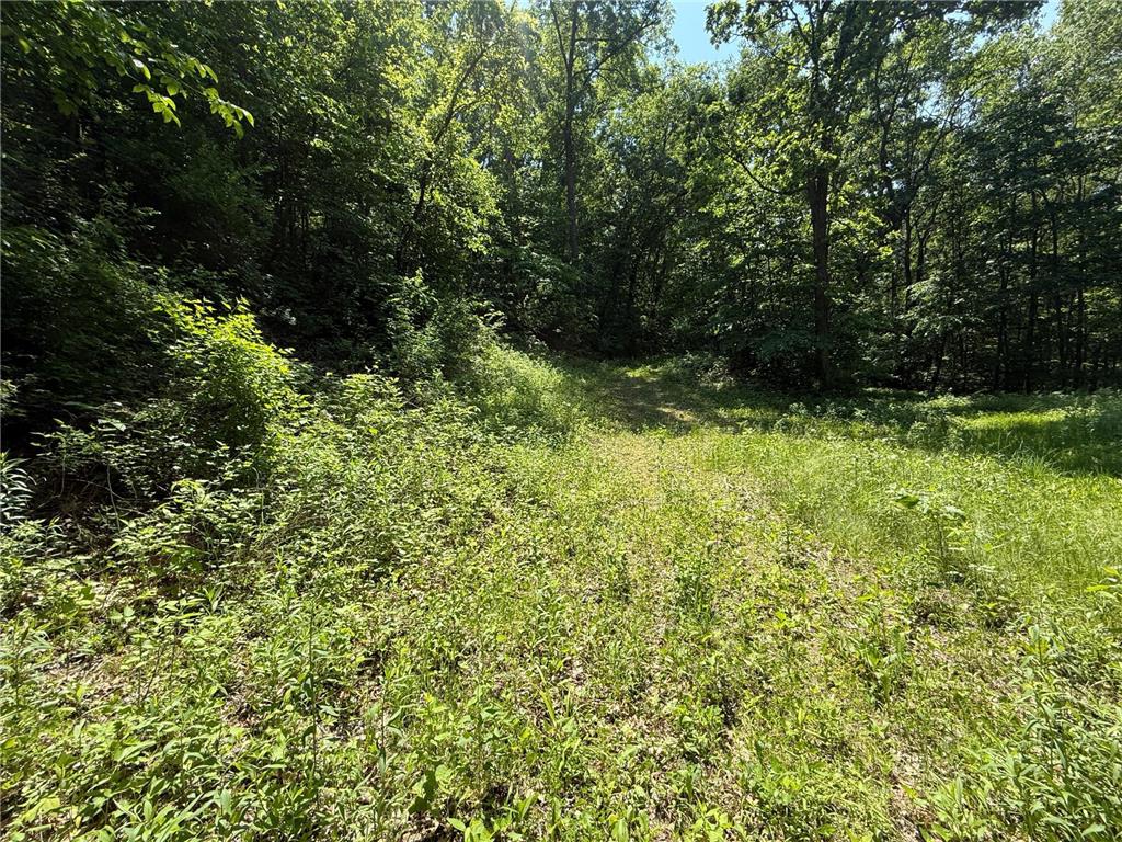 tbd County 13 Road Houston MN 55943 6735676 image44