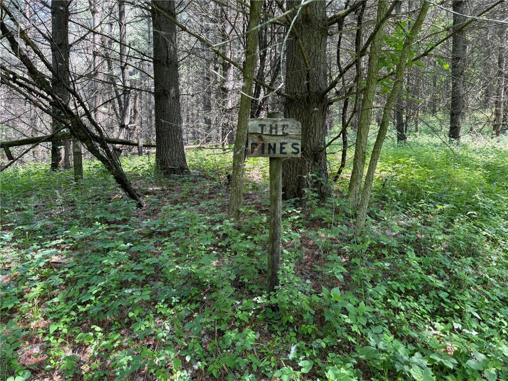 tbd County 13 Road Houston MN 55943 6735676 image45