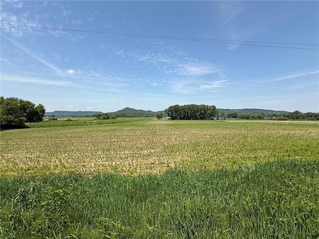 tbd County 13 Road Houston MN 55943 6735676 image46