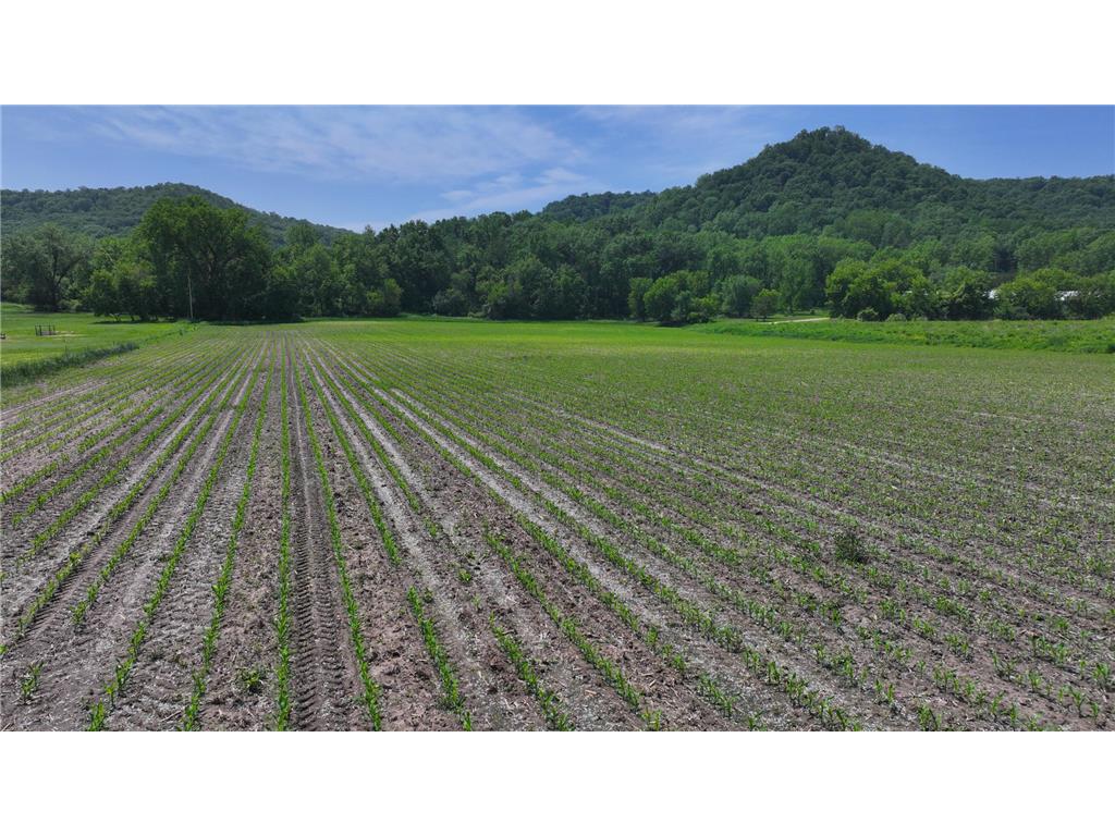 tbd County 13 Road Houston MN 55943 6735676 image8