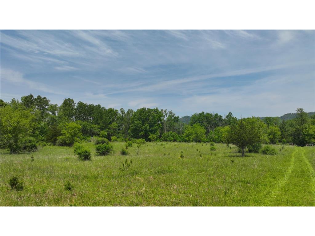 tbd County 13 Road Houston MN 55943 6735676 image9