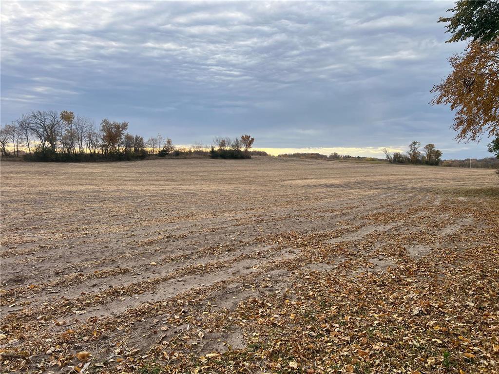 tbd- County 24 Boulevard Cannon Falls MN 55009 6803332 image13