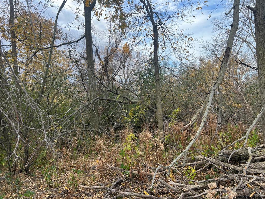 tbd- County 24 Boulevard Cannon Falls MN 55009 6803332 image14