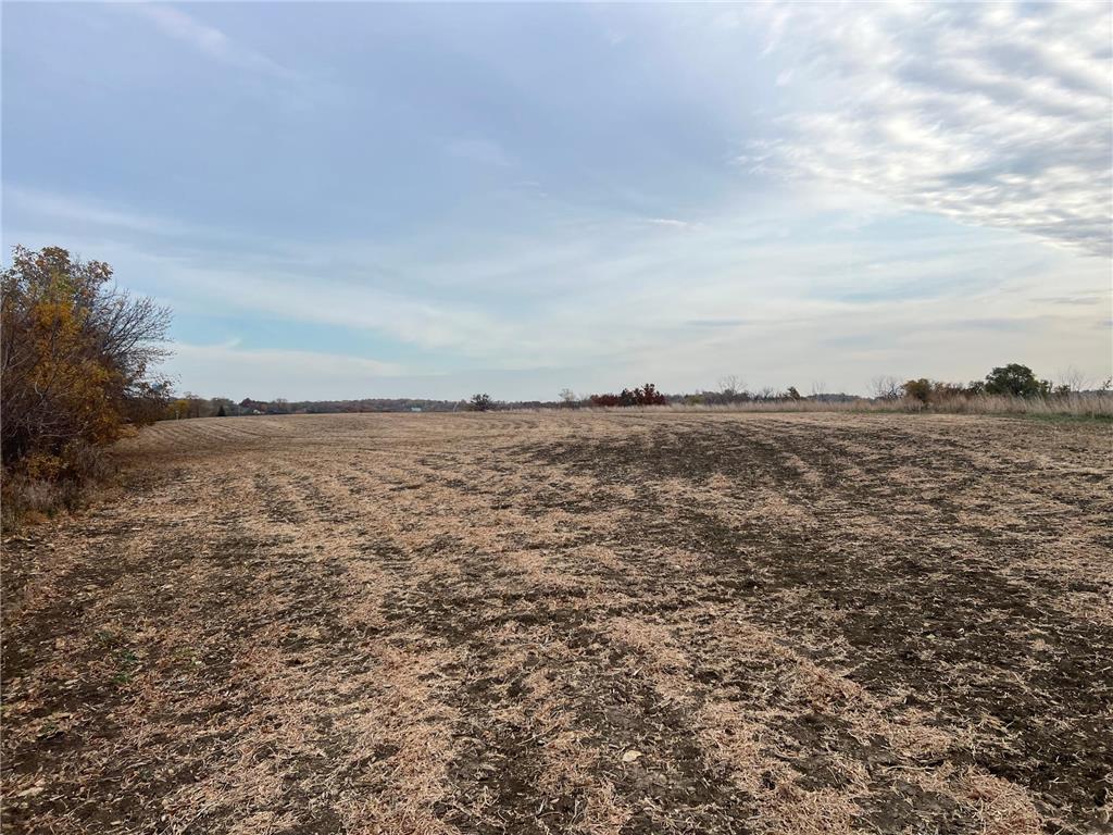 tbd- County 24 Boulevard Cannon Falls MN 55009 6803332 image18