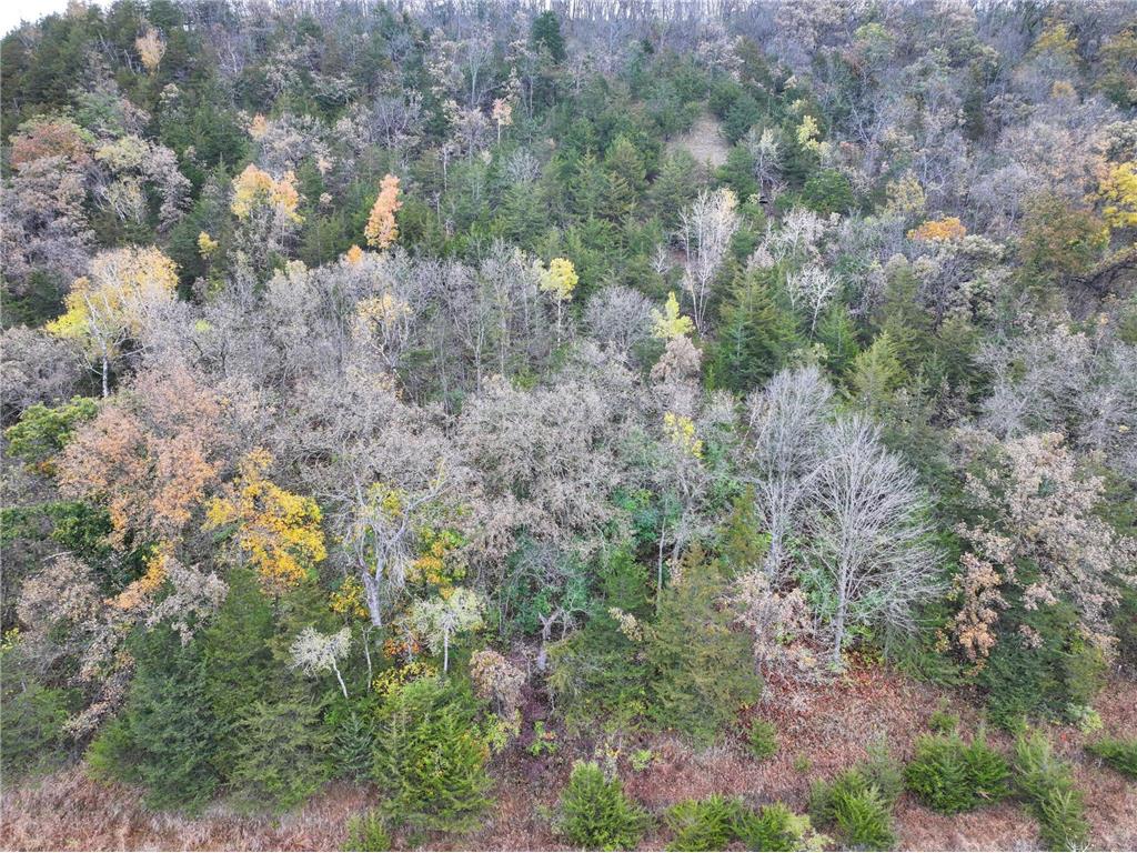 tbd County 26 Houston MN 55943 - ROOT RIVER 7037151 image20