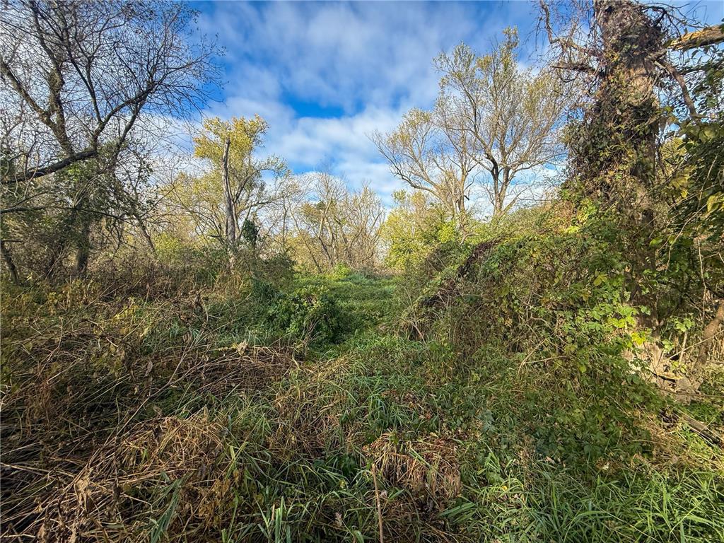 tbd County 26 Houston MN 55943 - ROOT RIVER 7037151 image25