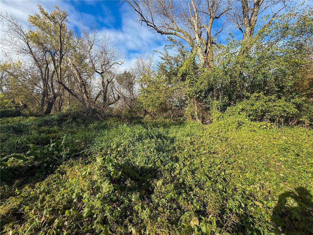 tbd County 26 Houston MN 55943 - ROOT RIVER 7037151 image31
