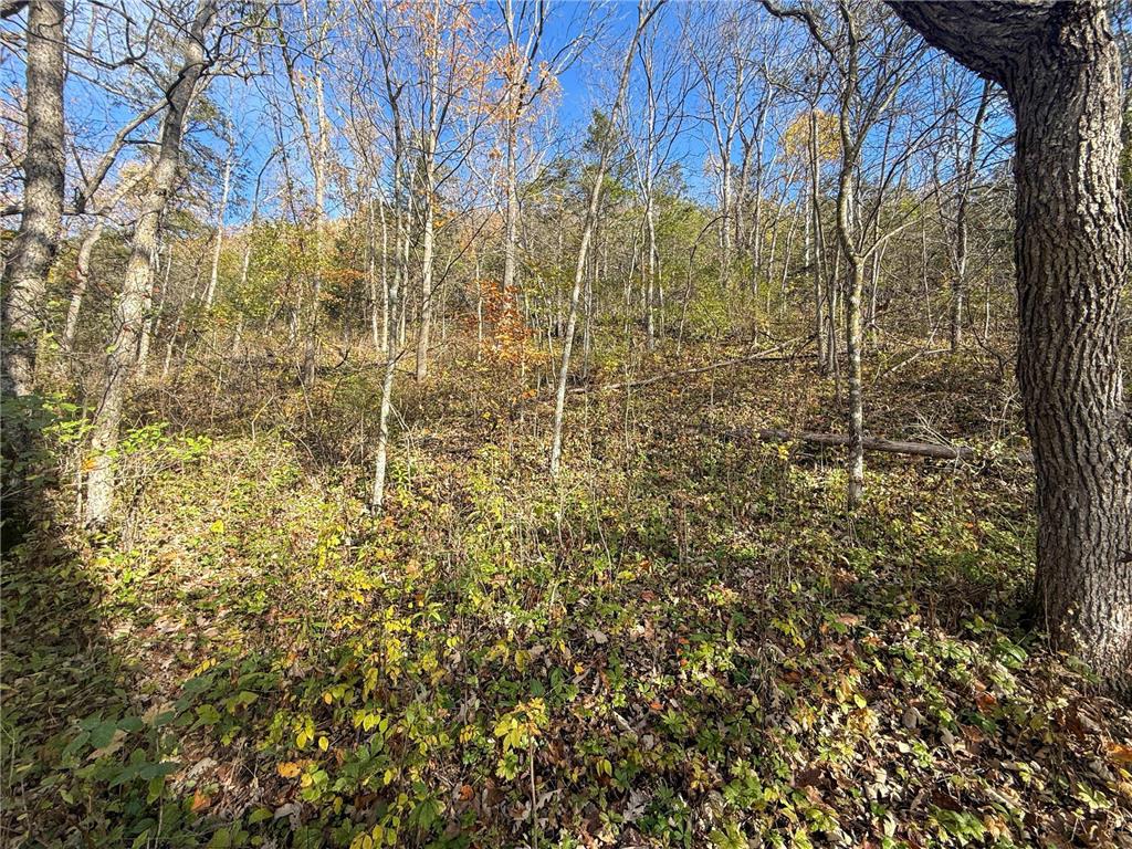 tbd County 26 Houston MN 55943 - ROOT RIVER 7037151 image34