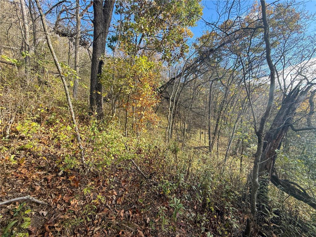 tbd County 26 Houston MN 55943 - ROOT RIVER 7037151 image36