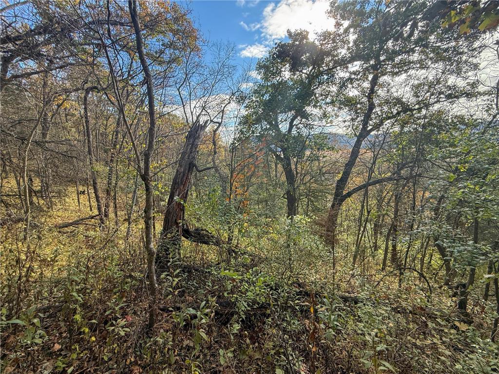 tbd County 26 Houston MN 55943 - ROOT RIVER 7037151 image37