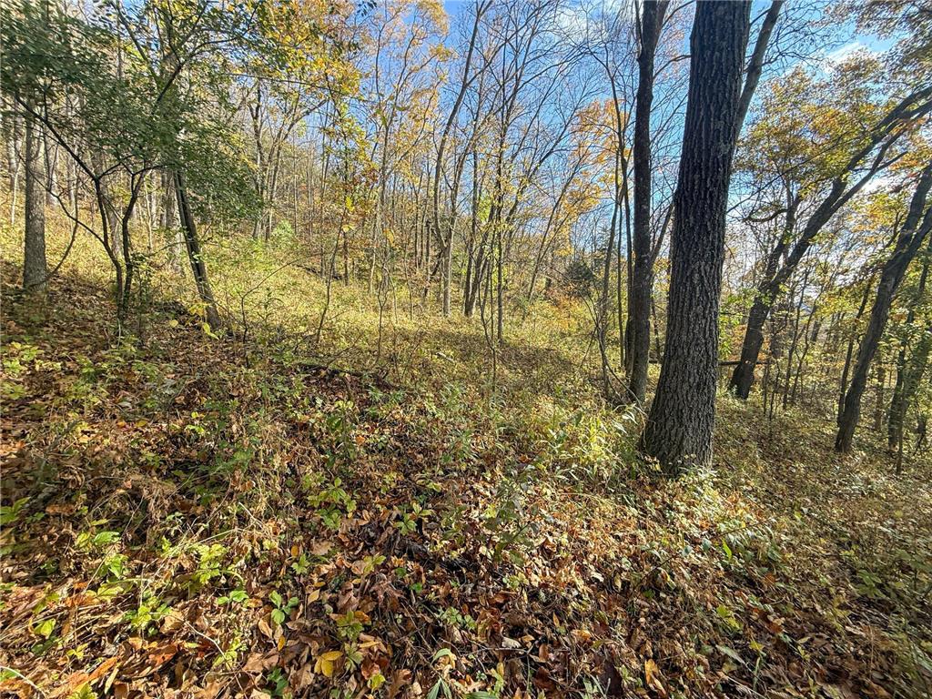 tbd County 26 Houston MN 55943 - ROOT RIVER 7037151 image38